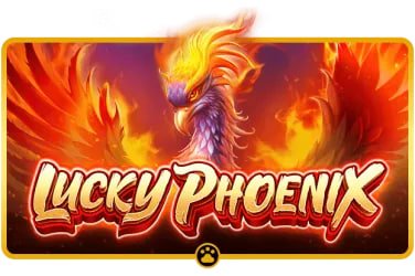 ibetph live casino table game streamed on a mobile phone